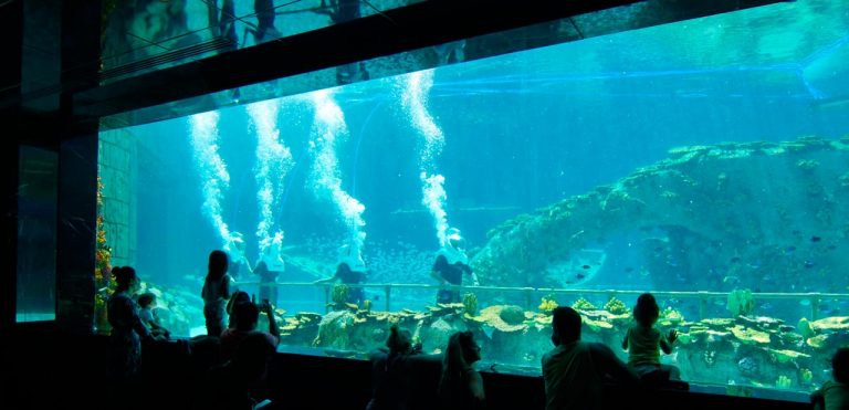 Okyanus Akvaryum Restoranı İzleme Akrilik Paneli