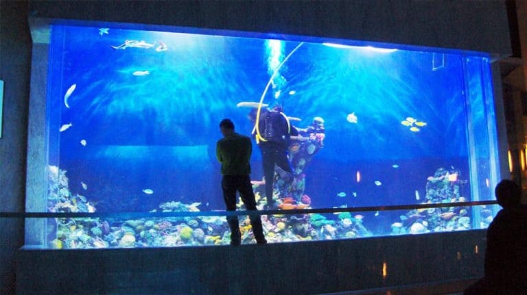 Panora Shopping Mall Aquarium