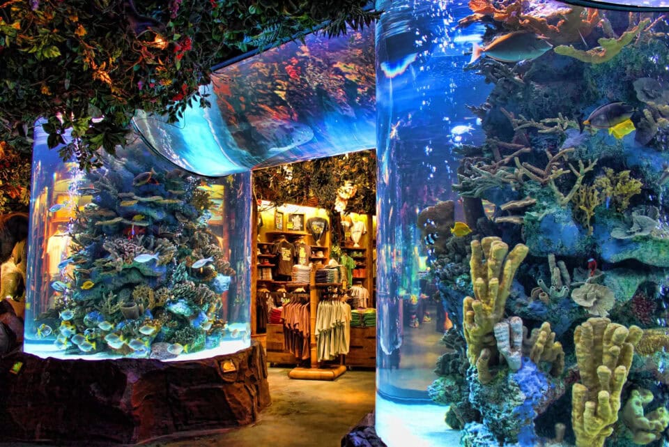 Rainforest Cafe Aquariums