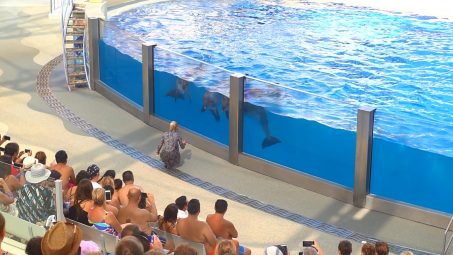 Rixos The Land Of Legends Show Pools - References - 2