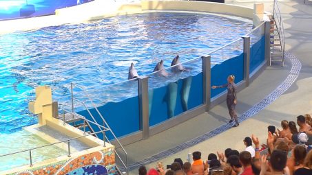 Rixos The Land Of Legends Show Pools - References - 6