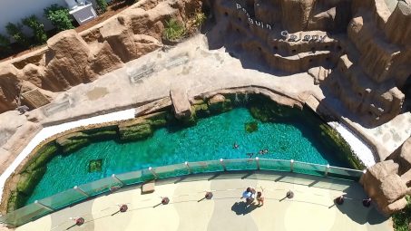 Rixos The Land Of Legends Show Pools - References - 5