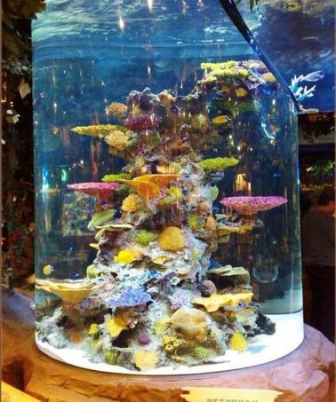 Read More About The Article City Stars Mall Rainforest Cafe
