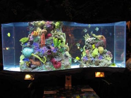 City Stars Mall Rainforest Cafe - References - 2