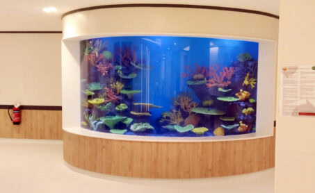 The View Hospital Aquariums Ucc Qatar - References - 4