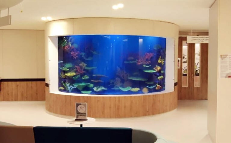 Read More About The Article The View Hospital Aquariums Ucc Qatar