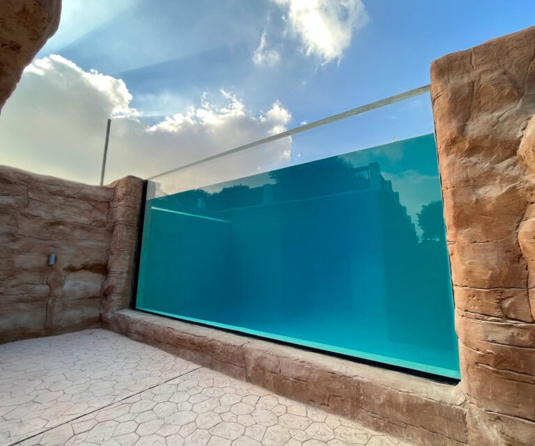 Elephant Pond Underwater Window